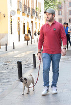 POLO CLÁSICO MANGA LARGA